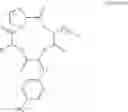 Fig. 11 - Method for inducing exocrine pancreatic cells