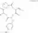 Fig. 14 - Method for inducing exocrine pancreatic cells