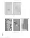 Fig. 10 - Exosomes from clonal progenitor cells