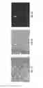 Fig. 05 - Methods and compositions for generating or maintaining pluripotent cells