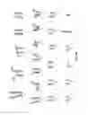 Fig. 08 - Methods and compositions for generating or maintaining pluripotent cells