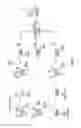 Fig. 03 - Reprogramming of aged adult stem cells