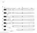 Fig. 02 - Pestivirus replicons providing an RNA-based viral vector system