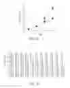 Fig. 09 - Fusion proteins and methods thereof