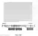 Fig. 32 - Fusion proteins and methods thereof