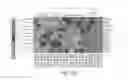 Fig. 53 - Fusion proteins and methods thereof