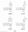 Fig. 07 - Modified template-independent enzymes for polydeoxynucleotide synthesis