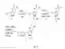 Fig. 09 - Modified template-independent enzymes for polydeoxynucleotide synthesis