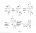 Fig. 11 - Modified template-independent enzymes for polydeoxynucleotide synthesis