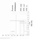 Fig. 111 - CELLULOLYTIC ENZYMES, NUCLEIC ACIDS ENCODING THEM AND METHODS FOR MAKING AND USING THEM