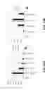 Fig. 84 - CELLULOLYTIC ENZYMES, NUCLEIC ACIDS ENCODING THEM AND METHODS FOR MAKING AND USING THEM