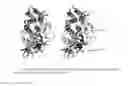 Fig. 03 - NOVEL METALLOPROTEASES