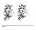 Fig. 09 - NOVEL METALLOPROTEASES