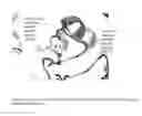 Fig. 10 - NOVEL METALLOPROTEASES