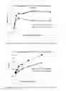 Fig. 12 - NOVEL METALLOPROTEASES