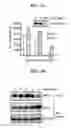Fig. 04 - COMPOSITION FOR STABILIZING EC-SOD AND METHOD OF STABILIZING EC-SOD USING THE SAME