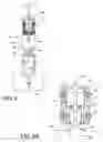 Fig. 05 - Rapid nucleic acid extraction method and apparatus