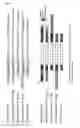 Fig. 09 - CHIMERIC SINGLE-STRANDED ANTISENSE POLYNUCLEOTIDES AND DOUBLE-STRANDED ANTISENSE AGENT