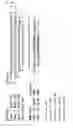 Fig. 17 - CHIMERIC SINGLE-STRANDED ANTISENSE POLYNUCLEOTIDES AND DOUBLE-STRANDED ANTISENSE AGENT