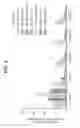 Fig. 03 - OLIGOMERS TARGETING HEXANUCLEOTIDE REPEAT EXPANSION IN HUMAN C9ORF72 GENE
