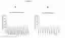 Fig. 03 - Modulation of HSP47 expression