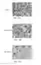Fig. 08 - Single-Stranded Nucleic Acid Molecule for Controlling Gene Expression