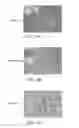 Fig. 09 - Single-Stranded Nucleic Acid Molecule for Controlling Gene Expression