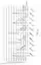 Fig. 22 - Single-Stranded Nucleic Acid Molecule for Controlling Gene Expression