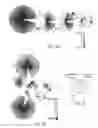 Fig. 05 - Nucleic acid aptamers