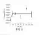 Fig. 07 - Nucleic acid aptamers