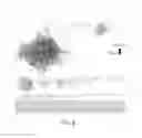 Fig. 09 - Nucleic acid aptamers