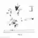 Fig. 10 - Nucleic acid aptamers