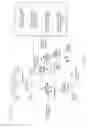 Fig. 12 - Nucleic acid aptamers