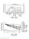 Fig. 04 - METHOD OF REGULATING CFTR EXPRESSION AND PROCESSING