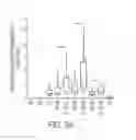 Fig. 12 - METHOD OF REGULATING CFTR EXPRESSION AND PROCESSING