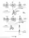Fig. 13 - METHOD OF REGULATING CFTR EXPRESSION AND PROCESSING