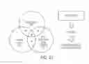 Fig. 14 - METHOD OF REGULATING CFTR EXPRESSION AND PROCESSING