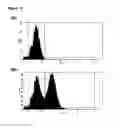 Fig. 08 - Surface display of functional proteins in a broad range of gram negative bacteria