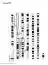 Fig. 21 - Surface display of functional proteins in a broad range of gram negative bacteria