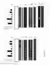 Fig. 04 - Enhanced selective expression of transgenes in fiber producing plants