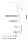 Fig. 17 - Manipulation of glutamine symthetases (GS) to improve nitrogen use efficiency and grain yield in higher plants