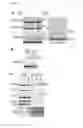 Fig. 09 - ATSP1, AN E3 UBIQUITIN LIGASE, AND ITS USE
