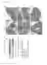 Fig. 11 - ATSP1, AN E3 UBIQUITIN LIGASE, AND ITS USE