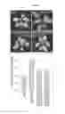 Fig. 17 - ATSP1, AN E3 UBIQUITIN LIGASE, AND ITS USE