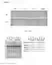 Fig. 32 - ATSP1, AN E3 UBIQUITIN LIGASE, AND ITS USE