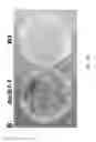 Fig. 12 - METHOD FOR PRODUCING STRESS TOLERANT TRANSGENIC PLANT BY SILENCING A GENE ENCODING CALCIUM-DEPENDENT LIPID-BINDING PROTEIN WITH C2 DOMAIN AND APPLICATIONS OF THE SAME
