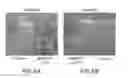 Fig. 07 - Herbicide tolerance genes and methods of use thereof