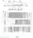 Fig. 11 - Method for increasing pathogen resistance in plants