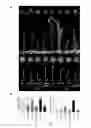Fig. 12 - Method for increasing pathogen resistance in plants