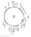 Fig. 02 - Compositions and methods for insecticidal control of stinkbugs